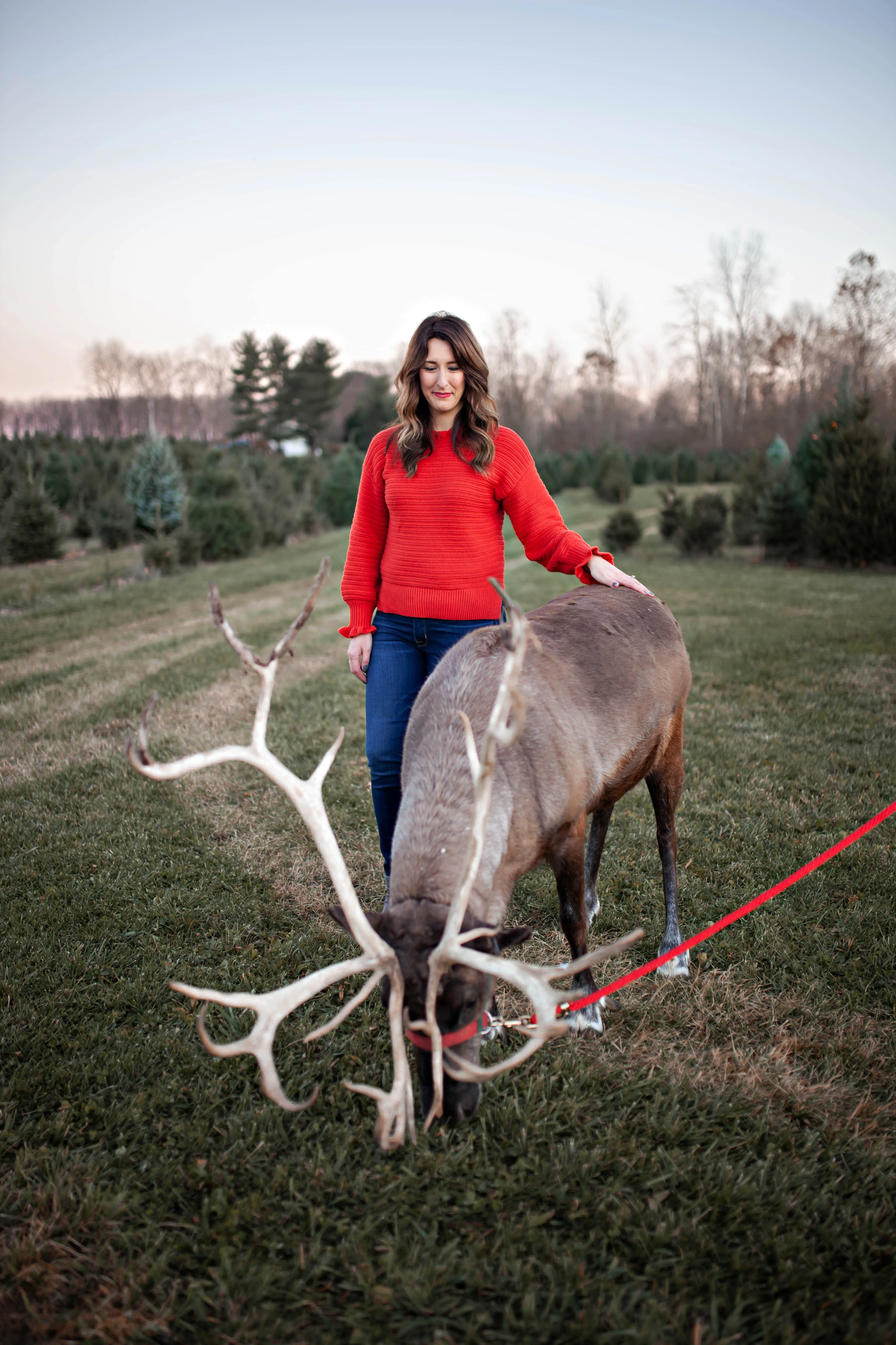 Family portrait session in Mansfield, Ohio — image 26
