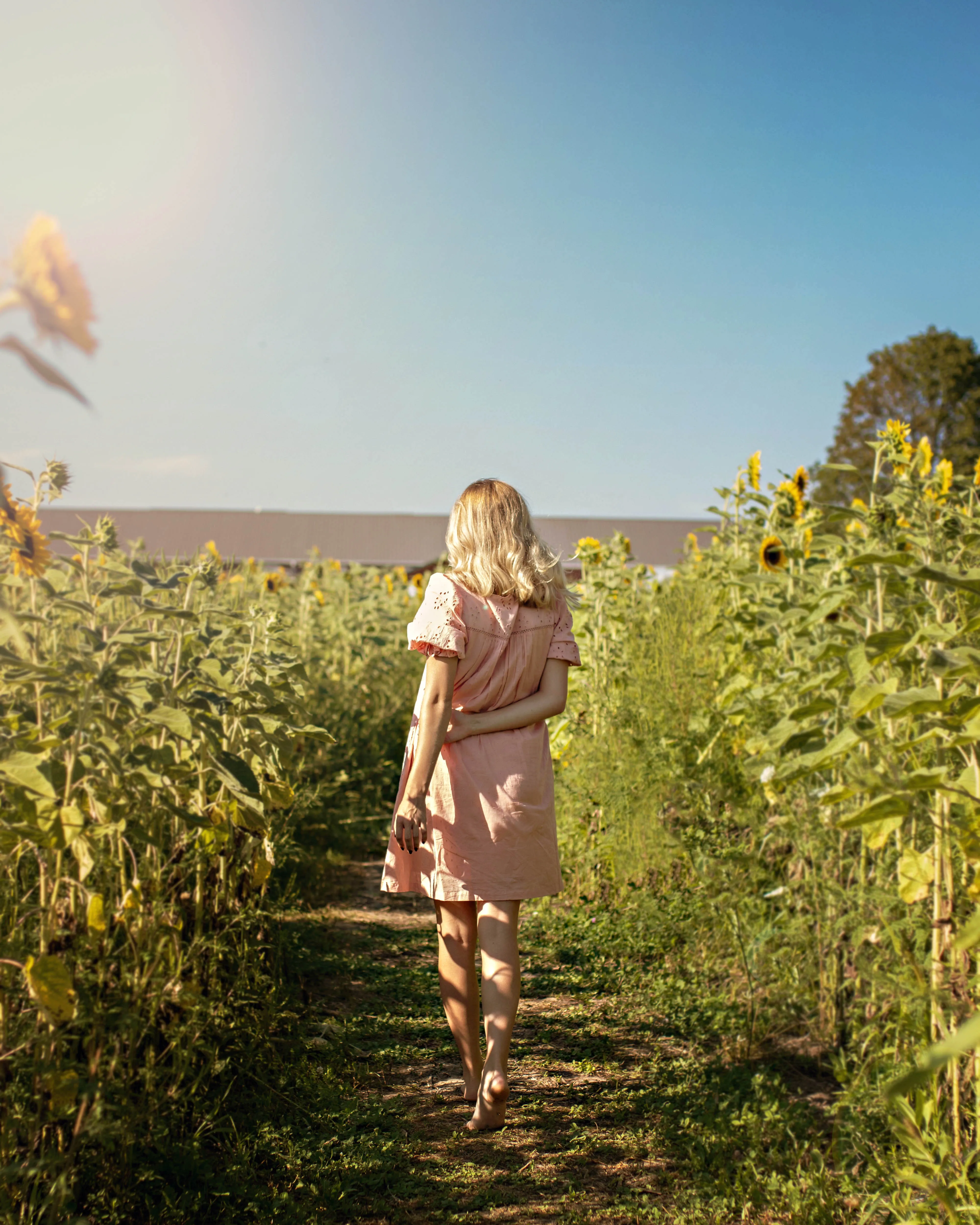 Senior portraits in Mansfield Ohio — image 21