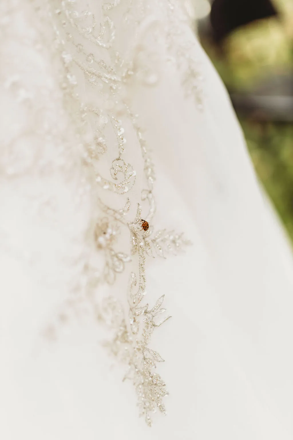 Wedding photography in Mansfield Ohio — image 59